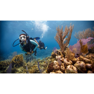 OPEN WATER DIVER
