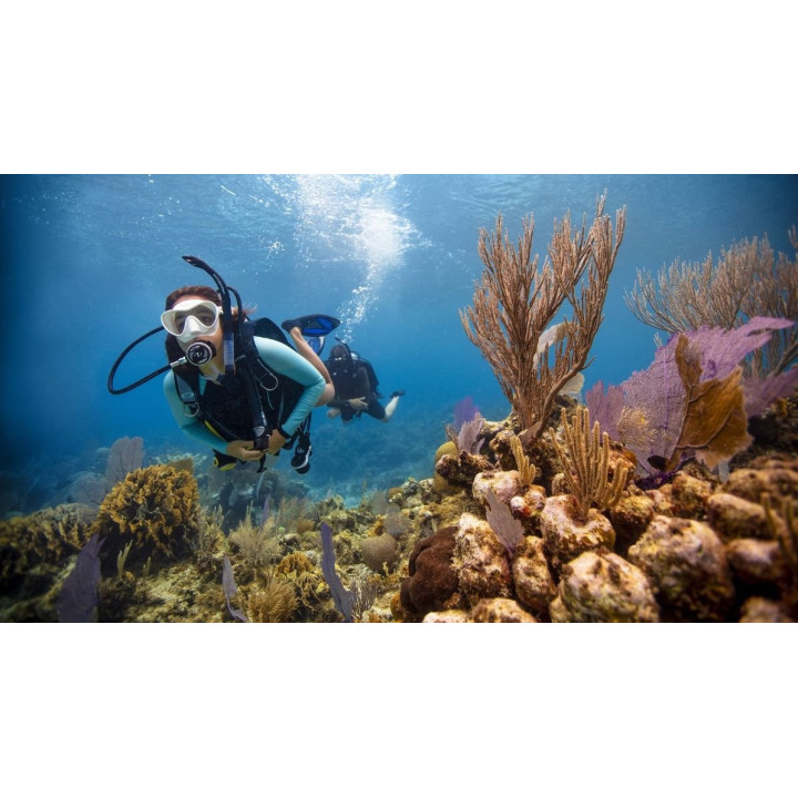OPEN WATER DIVER