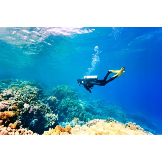 Discover Scuba Diving