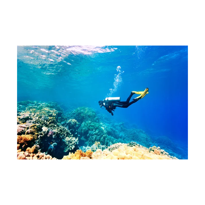 Discover Scuba Diving