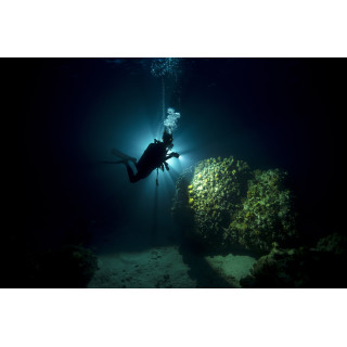buceo nocturno