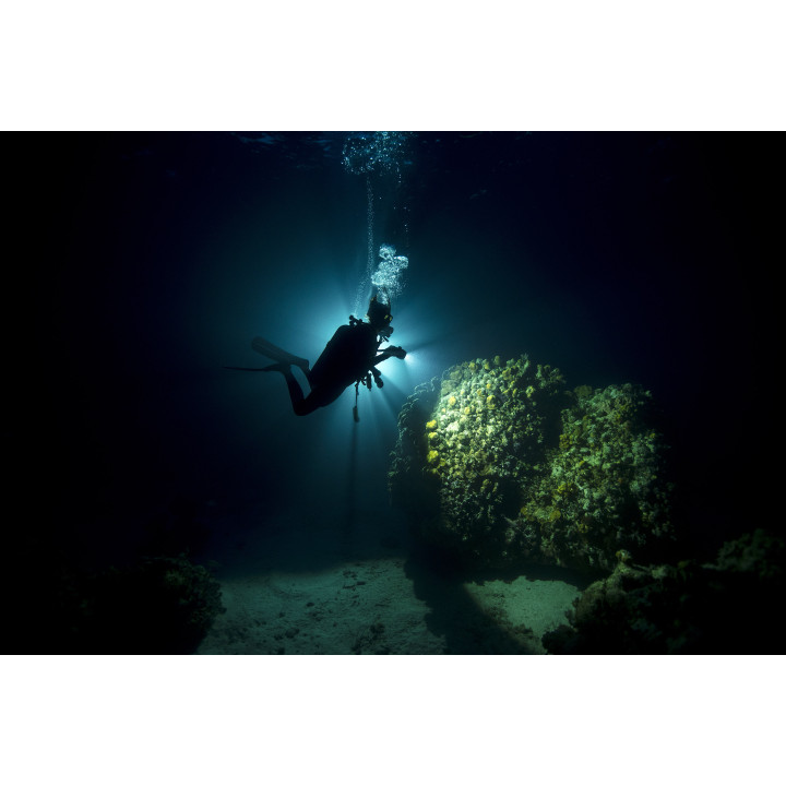 buceo nocturno