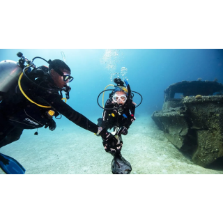 Dive Against Debris