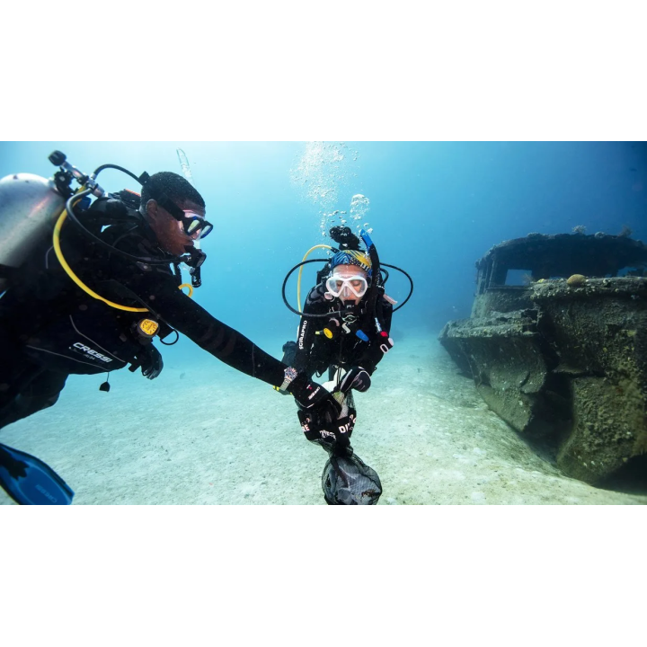 Dive Against Debris