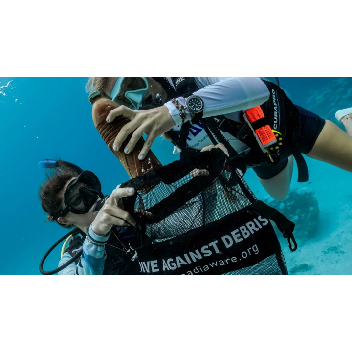 Dive Against Debris