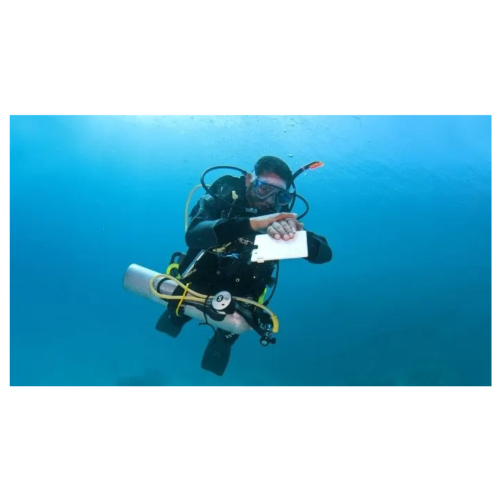 Self-Reliant Diver