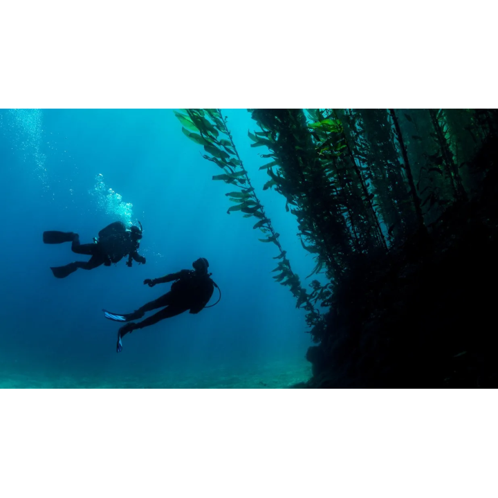 Buceo profundo