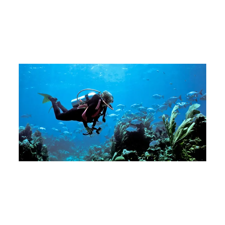 OPEN WATER DIVER